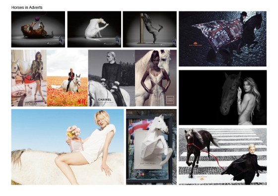 Horse in Adverts