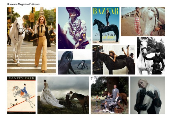 Horses in editorials